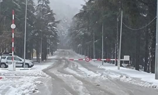 جهود مكثفة لإزالة الثلوج بإقليم الحسيمة
