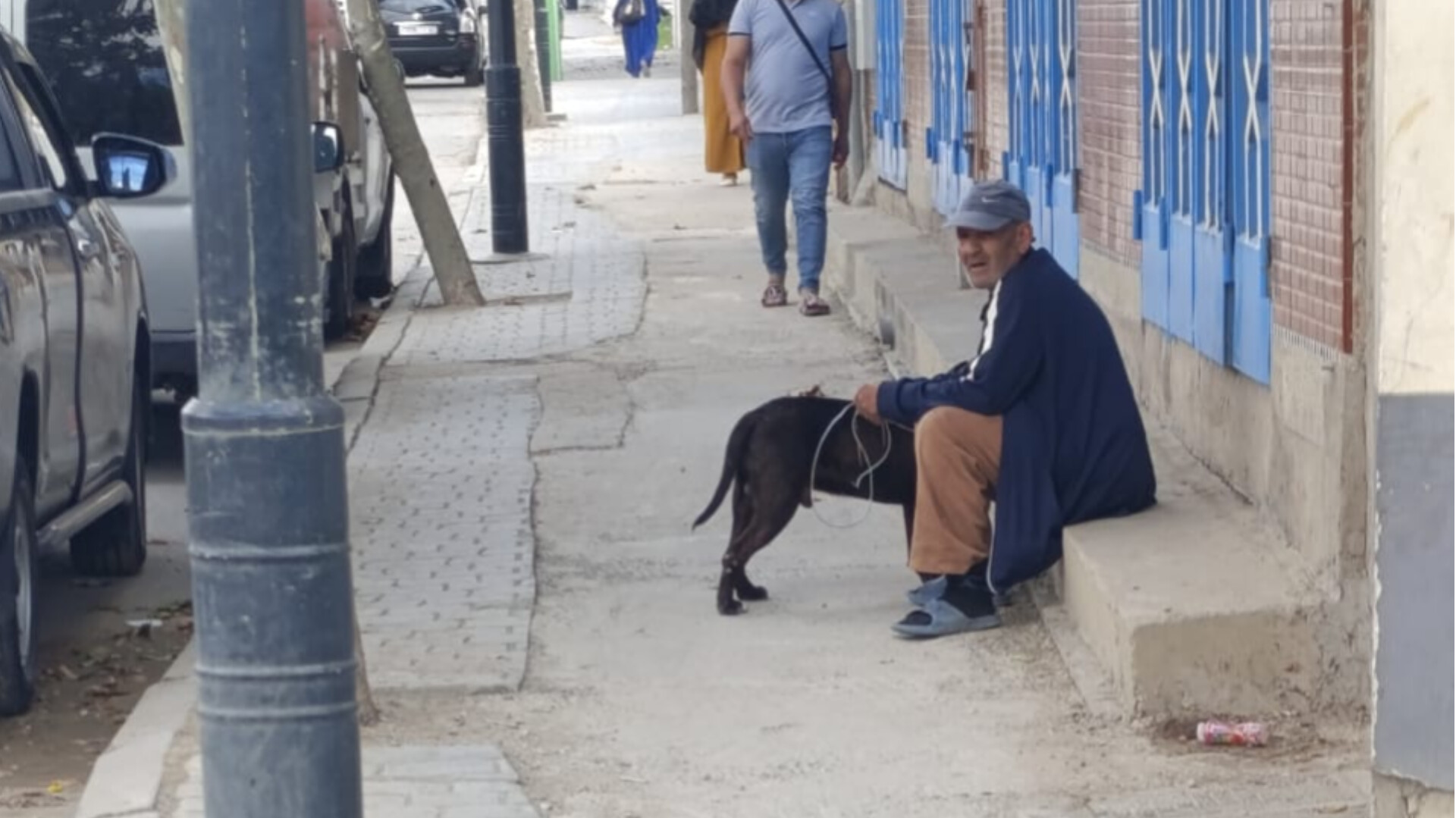 طنجة.. شخص يستغل كلبا مفترسا في ترهيب النساء وتهديد المارة بعوامة