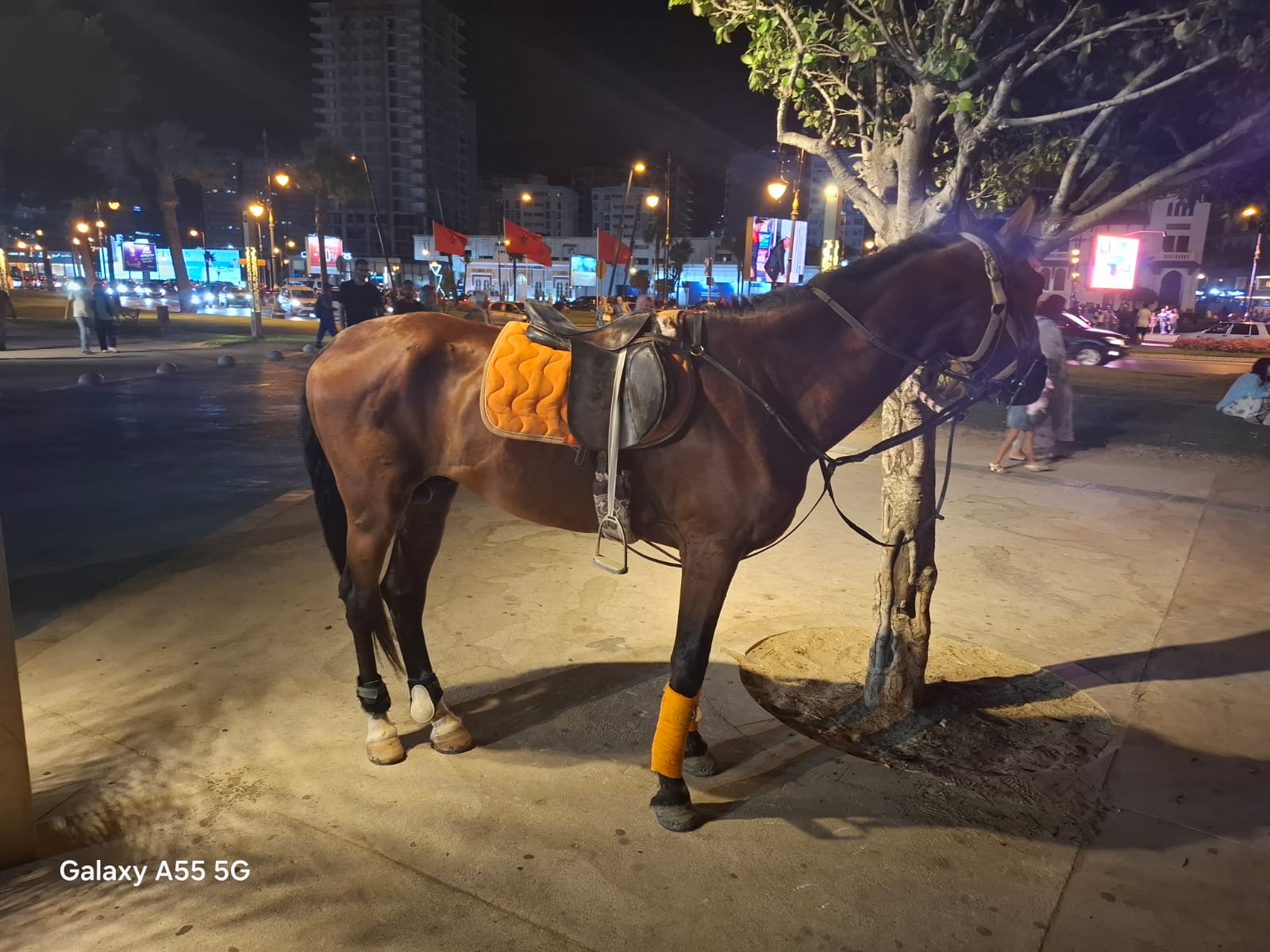 طنجة.. اعتداء خطير على عون سلطة أثناء حملة لتحرير الملك العمومي